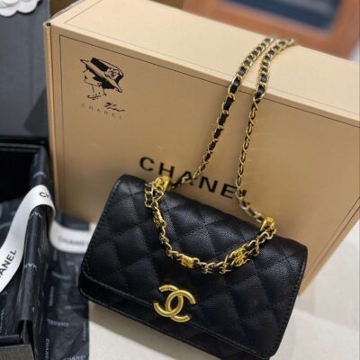 New Collection Chanel Bag 0248